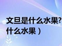 文旦是什么水果?和柚子的区别在哪?（文旦是什么水果）