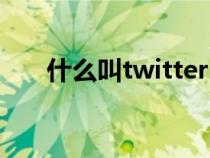 什么叫twitter（twitter是什么意思）