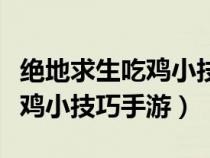 绝地求生吃鸡小技巧手游怎么玩（绝地求生吃鸡小技巧手游）