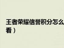 王者荣耀信誉积分怎么看等级经验（王者荣耀信誉积分怎么看）