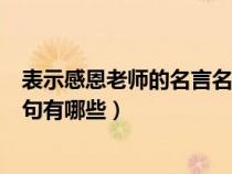 表示感恩老师的名言名句有哪些呢（表示感恩老师的名言名句有哪些）