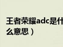 王者荣耀adc是什么意思?（王者荣耀adc是什么意思）