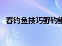 春钓鱼技巧野钓鲫鱼口诀（春钓鱼的技巧）