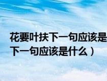 花要叶扶下一句应该是什么这类的词语还有什么（花要叶扶下一句应该是什么）