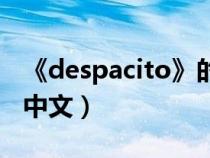 《despacito》的歌词（despacito歌词翻译中文）