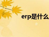 erp是什么（erp系统是什么）