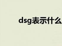 dsg表示什么（dsg表达什么意思）