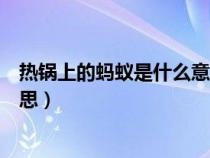 热锅上的蚂蚁是什么意思网络用语（热锅上的蚂蚁是什么意思）