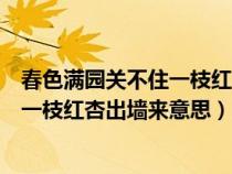 春色满园关不住一枝红杏出墙来意思哲理（春色满园关不住一枝红杏出墙来意思）