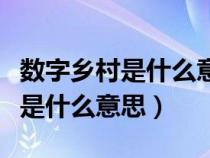 数字乡村是什么意思发展建设题目（数字乡村是什么意思）