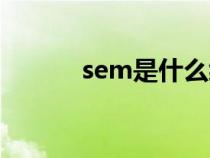 sem是什么缩写（sem是什么）