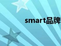 smart品牌（smart什么意思）