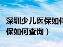 深圳少儿医保如何查询缴费情况（深圳少儿医保如何查询）