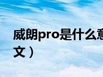 威朗pro是什么意思中文（pro是什么意思中文）