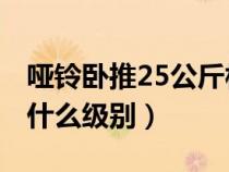 哑铃卧推25公斤相当于杠铃（25kg哑铃卧推什么级别）