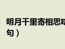 明月千里寄相思啥意思（明月千里寄相思下一句）