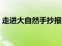 走进大自然手抄报内容（大自然手抄报内容）