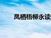 凤栖梧柳永读音（凤栖梧柳永原文）