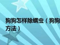 狗狗怎样除螨虫（狗狗去螨虫最好的方法狗狗除螨虫的简单方法）