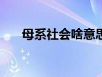 母系社会啥意思（母系社会什么意思）