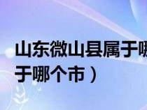 山东微山县属于哪个市哪个区（山东微山县属于哪个市）