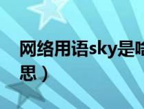 网络用语sky是啥意思（网络用语sky什么意思）