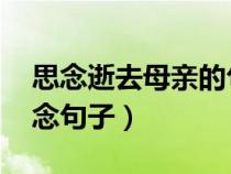 思念逝去母亲的句子 经典（对已逝父亲的思念句子）