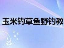 玉米钓草鱼野钓教学视频（玉米钓草鱼绝招）