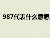 987代表什么意思重启（987代表什么意思）