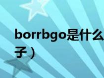 borrbgo是什么品牌车（borrego是什么车子）