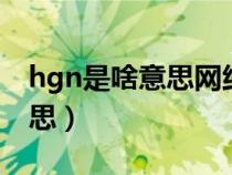 hgn是啥意思网络用语（网络语hin是什么意思）