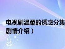 电视剧温柔的诱惑分集剧情介绍演员介绍（温柔的诱惑分集剧情介绍）