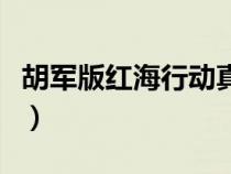 胡军版红海行动真实事件（红海行动真实事件）