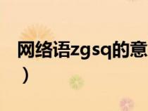 网络语zgsq的意思（zqsg什么意思网络用语）