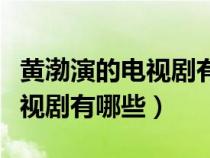 黄渤演的电视剧有哪些爱情故事（黄渤演的电视剧有哪些）