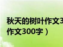 秋天的树叶作文300字左右初二（秋天的树叶作文300字）