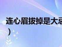 连心眉拔掉是大忌吗（连心眉的男人代表什么）