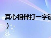 真心相伴打一字谜底是什么（真心相伴打一字）