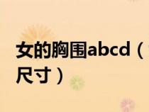 女的胸围abcd（女人胸围abcd罩分别是多少尺寸）