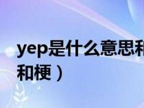 yep是什么意思和梗的意思（yep是什么意思和梗）