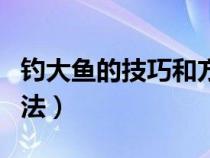 钓大鱼的技巧和方法视频（钓大鱼的技巧和方法）