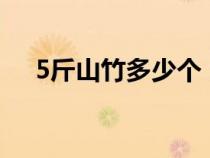 5斤山竹多少个（5a山竹一斤大概几个）