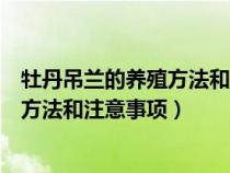 牡丹吊兰的养殖方法和注意事项正常开花（牡丹吊兰的养殖方法和注意事项）