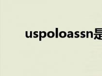 uspoloassn是什么牌子（u.s.polo）