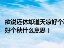 欲说还休却道天凉好个秋什么意思 意境（欲说还休却道天凉好个秋什么意思）