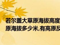 若尔盖大草原海拔高度是多少米会有高原反应吗（若尔盖草原海拔多少米,有高原反应吗）