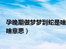 孕晚期做梦梦到蛇是啥意思周公解梦（孕晚期做梦梦到蛇是啥意思）