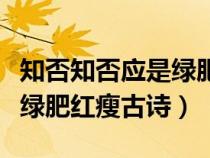 知否知否应是绿肥红瘦古诗词（知否知否应是绿肥红瘦古诗）