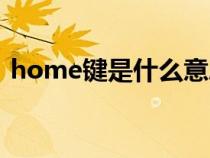 home键是什么意思图片（home键是什么）