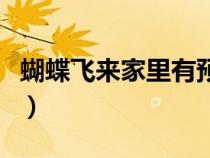 蝴蝶飞来家里有预兆吗（蝴蝶飞进家里的预示）